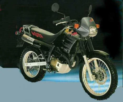 NX 650 Dominator (reduced effect)