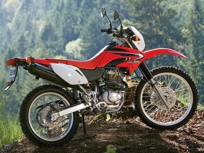 CRF 230 L