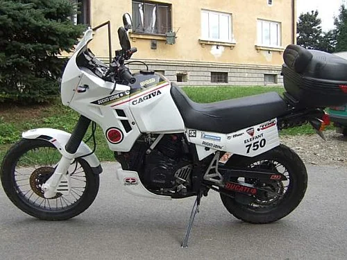 Elefant 750