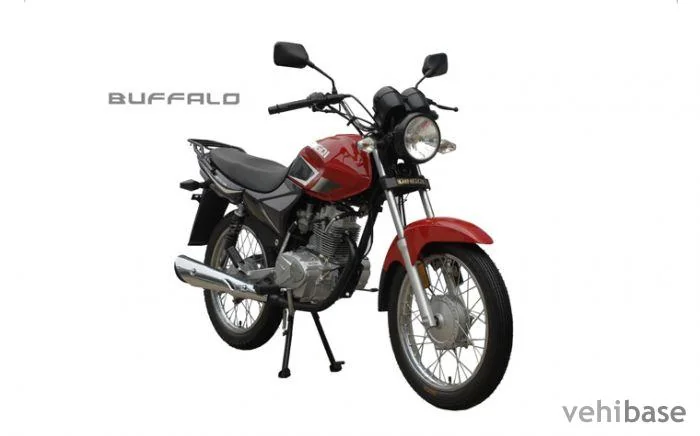 Buffalo QM125-10R