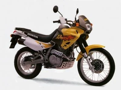 NX 650 Dominator