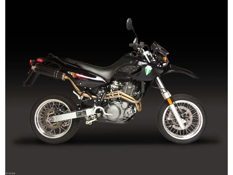 Baghira Black Panther