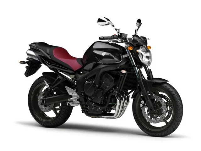 FZ6N