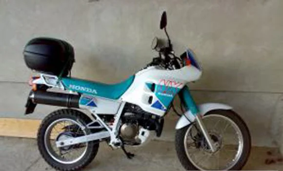 NX 250 (reduced effect)