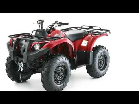 Grizzly 450 EPS