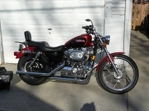 1200 Sportster Custom