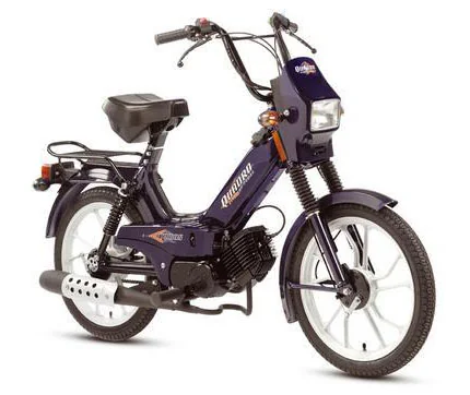 Quadro 50