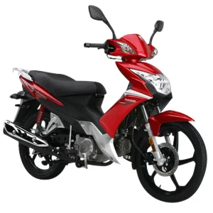 Lucky Sport HJ 110-3