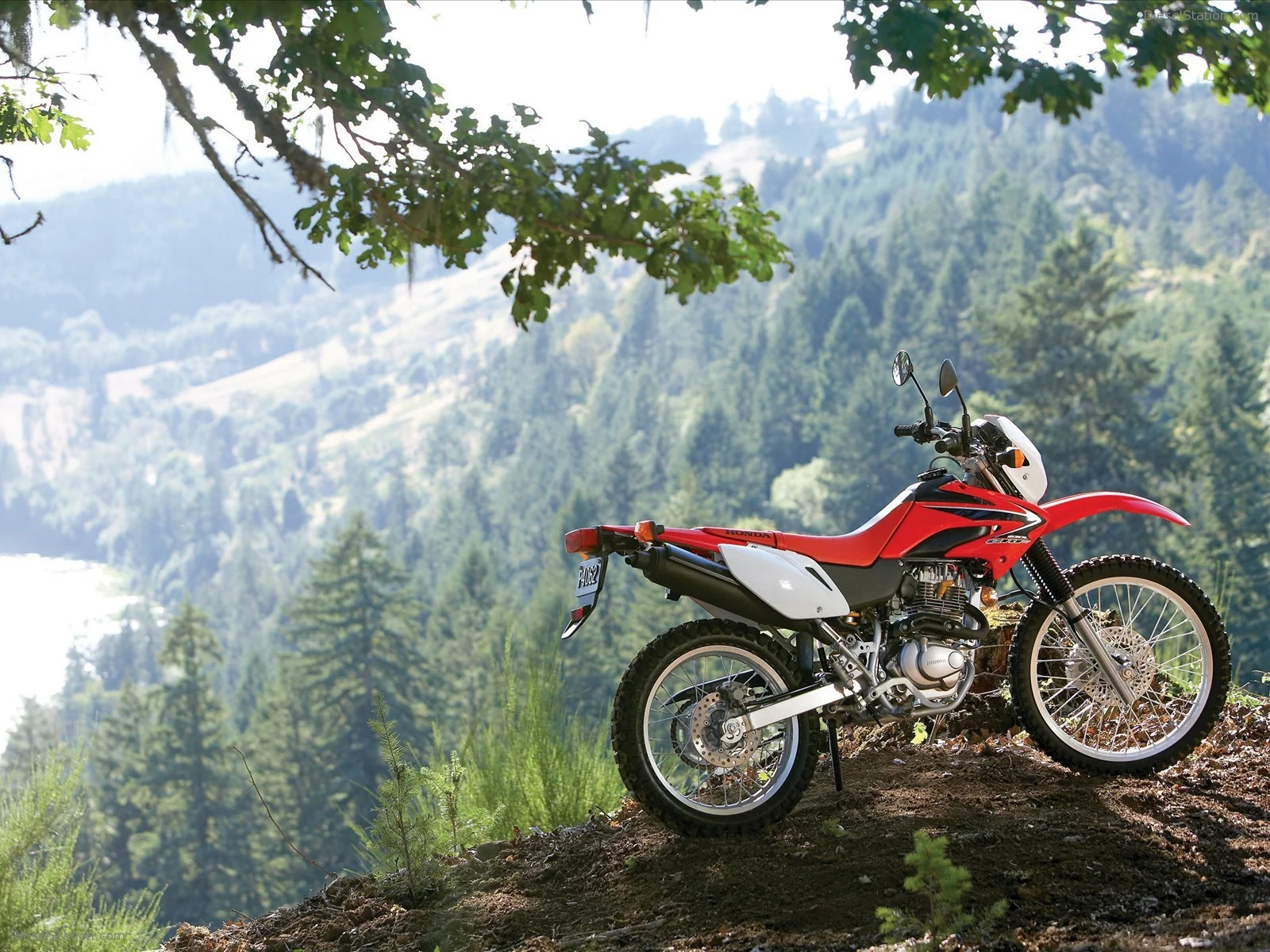 CRF230L