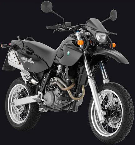 Baghira Black Panter