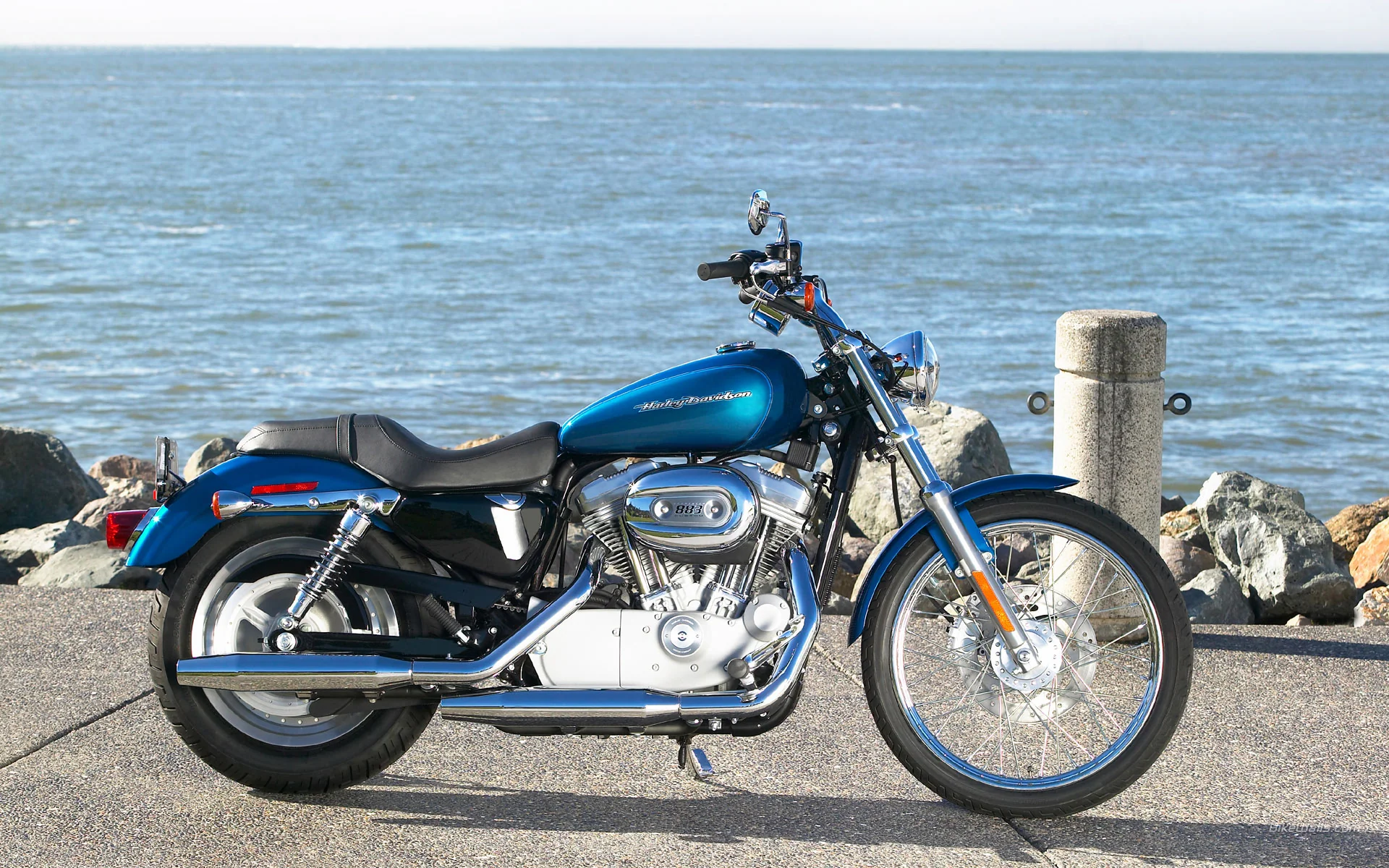 XL 883 C Sportster Custom