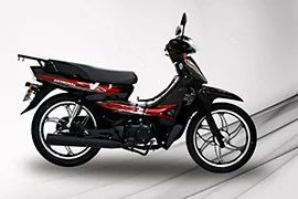 Cup 100 SFC Snappy X