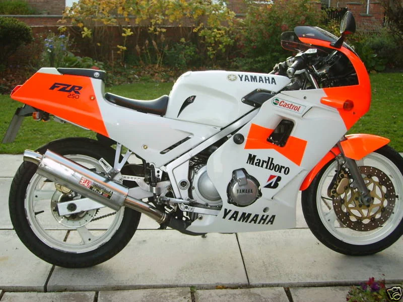 FZR 250